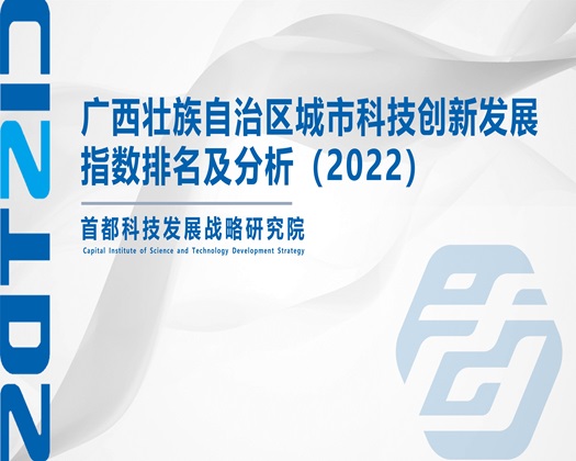 黑大屌日穴视频【成果发布】广西壮族自治区城市科技创新发展指数排名及分析（2022）